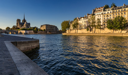 Fototapeta premium Notre Dame de Paris and the banks of the Seine River (Quai d'Orleans) at sunset in Summer. Ile Saint Louis and Ile de la Cite, 4th Arrondissement, Paris, France