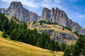 Fototapeta na wymiar Aiguilles de Chabrieres (Chabrieres Needles) and tree line in summer. Hautes Alpes, Ecrins National Park, Southern French Alps, France