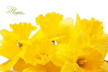 Keuken foto achterwand daffodils © ninell