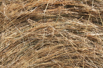 Spirale de foin