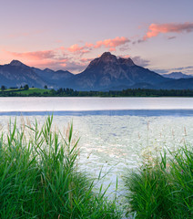 Morgenstimmung am Hopfensee, hinten die Allgäuer Alpen