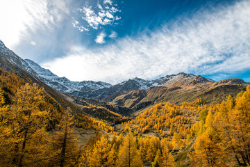 Fototapeta premium Automne au Simplon