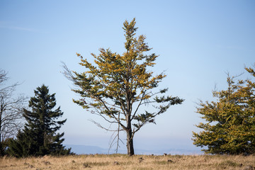 kahler asten germany