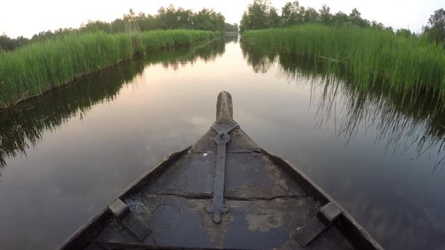 Wooden boat bow gliding through reed and meadows in early evening.