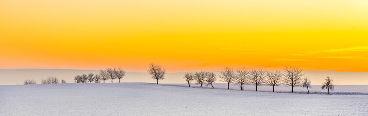 winter landscape with tree alley  in sunset
