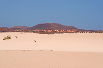 Fototapeta na wymiar Fuerteventura, Isole Canarie: le dune di sabbia del parco naturale di Corralejo il 29 agosto 2016: 11 chilometri di dune formatesi dalla sabbia del Sahara portata dal vento