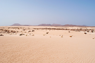 Fuerteventura, Isole Canarie: le dune di sabbia del parco naturale di Corralejo il 29 agosto 2016: 11 chilometri di dune formatesi dalla sabbia del Sahara portata dal vento