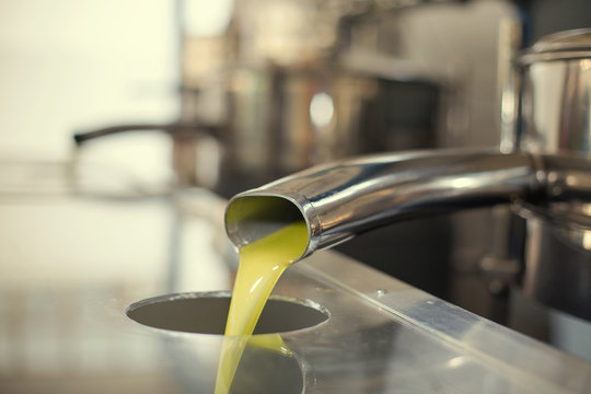 Oil is pouring from the tube at a cold-press factory after the olive harvesting in one of the cretan villages, Greece