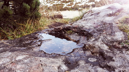 Wasserpf&uuml;tze in Felsen