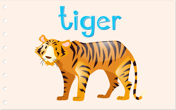 Flashcard tiger with word