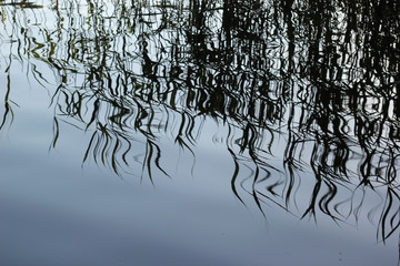 Water reflection