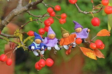 Vier kleine Wichtel sitzen im Bonsai-Apfelbaum
