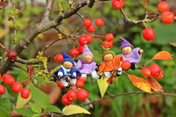 Vier kleine Wichtel sitzen im Bonsai-Apfelbaum
