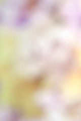 abstract color blur background