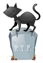 Black cat on gravestone