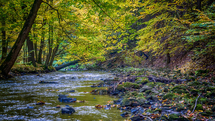 Herbst im Seifersdorfer Tal - Autumn in the Seifersdorf Valley S
