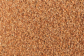 Texture background from buckwheat.