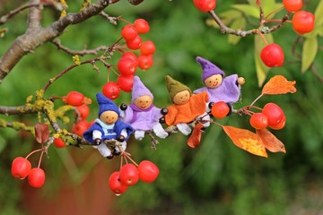 Vier kleine Wichtel sitzen im Bonsai-Apfelbaum
