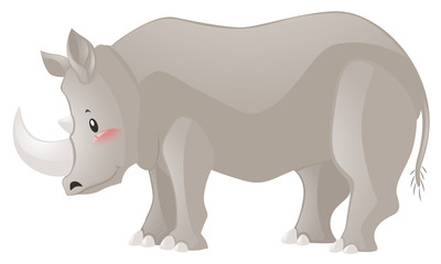 Rhinoceros with sharp horn