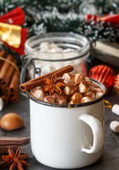 Hot chocolate with marshmallows, cinnamon and caramel sauce 