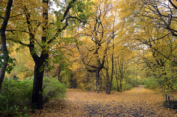 Naklejka premium jungfernheide