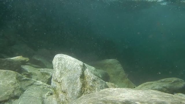 Fondale di Torrente - Roccie
