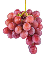Bunch of pink grapes. On white, isolated background.