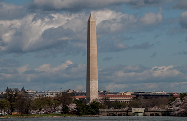 Fototapeta na wymiar The Washington Monument