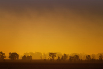 Douce Matin&eacute;e