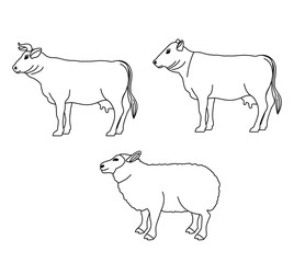 Lamb cow and beet icon. Livestock animal life nature and fauna theme. Isolated design. Vector illustration