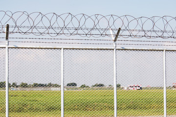 barbed wire with green grass