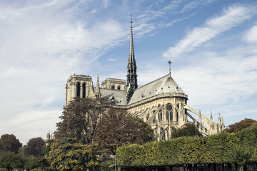 Fototapeta na wymiar Cathedral Notre-Dame de Paris. Paris. France.