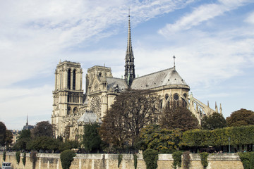 Fototapeta na wymiar Cathedral Notre-Dame de Paris. Paris. France.