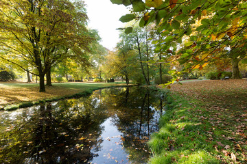 Fototapeta premium Marvelous Water Reflections in Creek at Krefeld / Germany