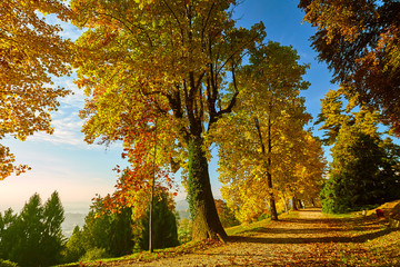 Autunno