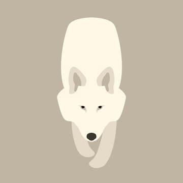 Wolf head vector illustration style flat side front