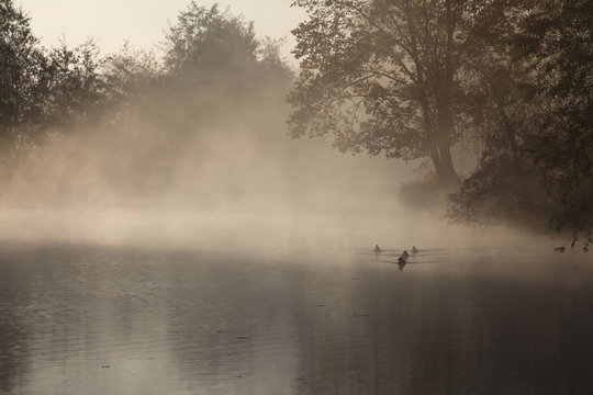รูปภาพBucolique เลือกดูภาพถ่ายสต็อก เวกเตอร์ และวิดีโอ5,100 Adobe Stock