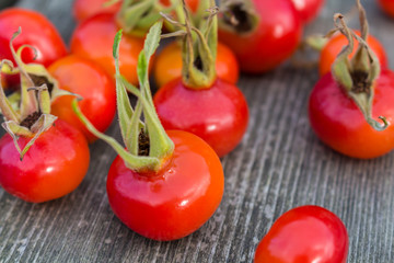 Rose Hip Close-Up