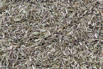 Thym herbes de provence, Thymus vulgaris feuilles séchées sur fond bland