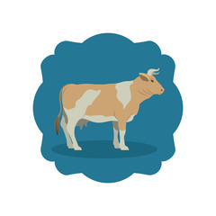 Cow icon. Livestock animal life nature and fauna theme. Isolated design. Vector illustration