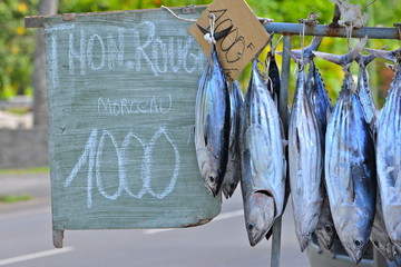 Fishes sold on the road, market stall, Polynesia