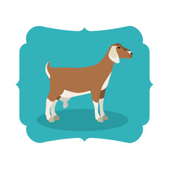 Goat icon. Livestock animal life nature and fauna theme. Isolated design. Vector illustration