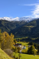 Fototapeta premium Alpy i las