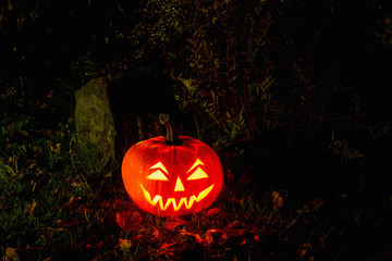 Halloween Pumpkin In A Mystic Forest At Night