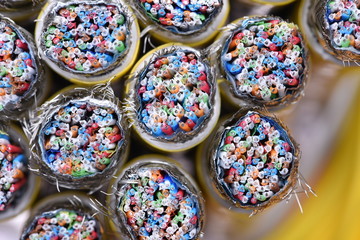 Electrical and Telecommunication Cables Close Up