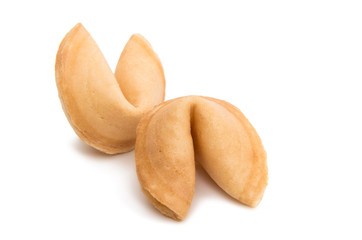 fortune cookie