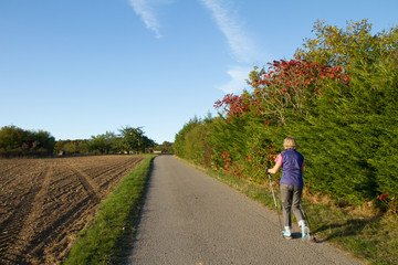 Obraz premium Walking