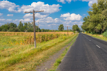 Fototapeta na wymiar Summer landscape with asphalt road leading to small village Rublivka in Poltavskaya oblast, Ukraine. Ancient wooden poles with wires located on a roadside.