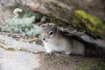 I'm Ready for my close up! 