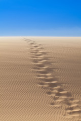 Steps of human foot mark on windy white sand dunes, Muine desert, Phan Thiet, Vietnam